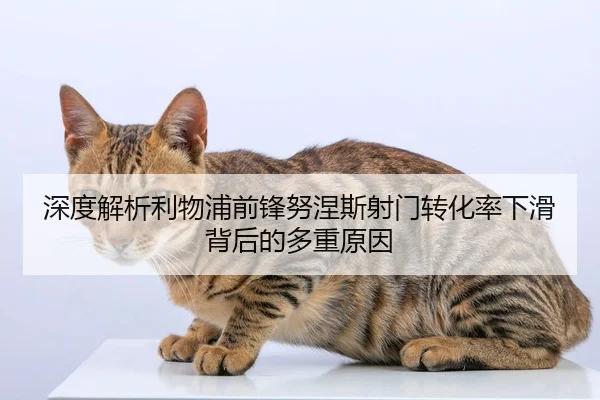 深度解析利物浦前锋努涅斯射门转化率下滑背后的多重原因